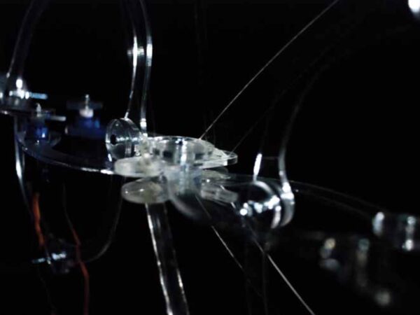 Biofeedback and Interactive Architecture