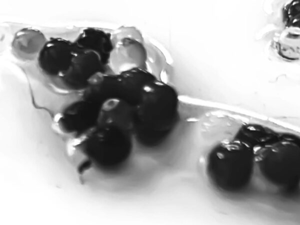 Microplastic as Hyperobject