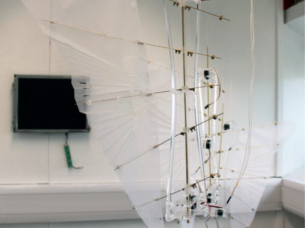 Living Architecture: An Experiment in Biomimicry