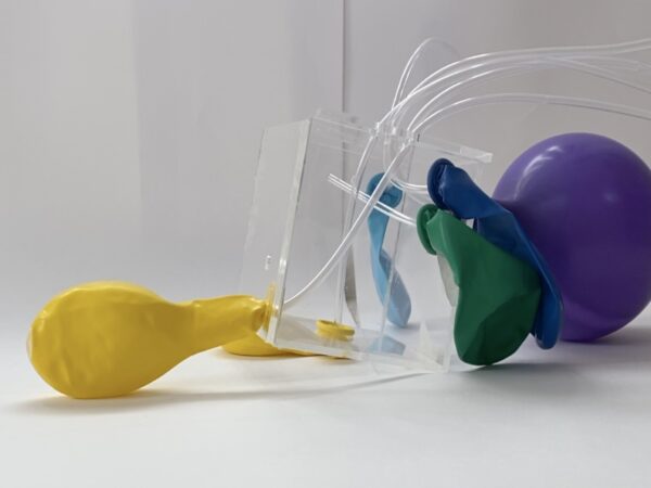 Speculating Mechanisms Through Simulation